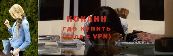 гашик Белокуриха