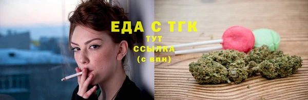 индика Покачи
