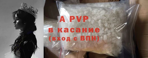 индика Покачи