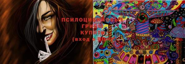 прущие крисы Беломорск