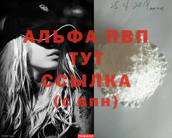 гашик Белокуриха